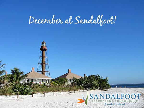 December at Sandalfoot 2015