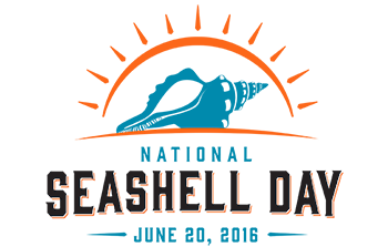 National_Seashell_Day