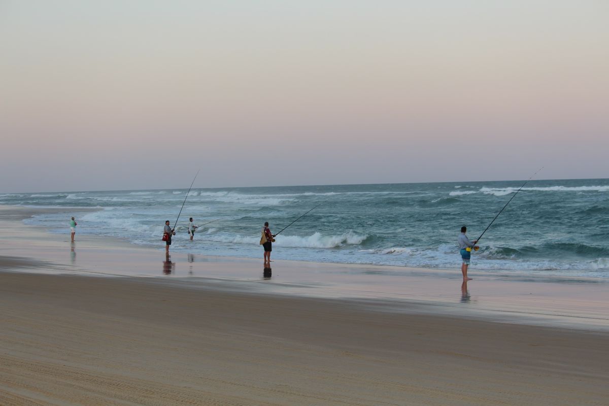 A Guide to Fishing on Sanibel Island: Seasons, Bait, Tackle
