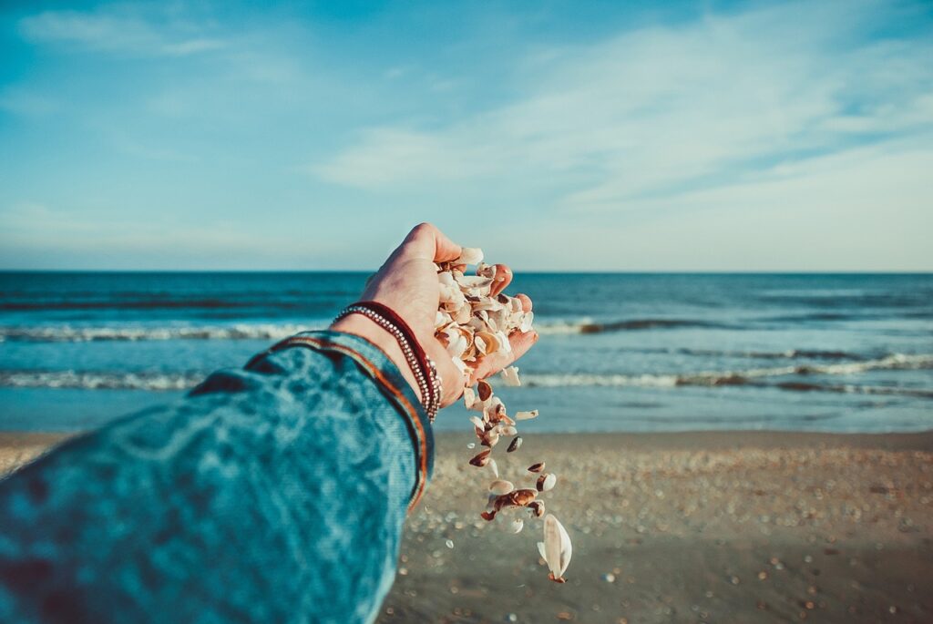 hand dropping shells