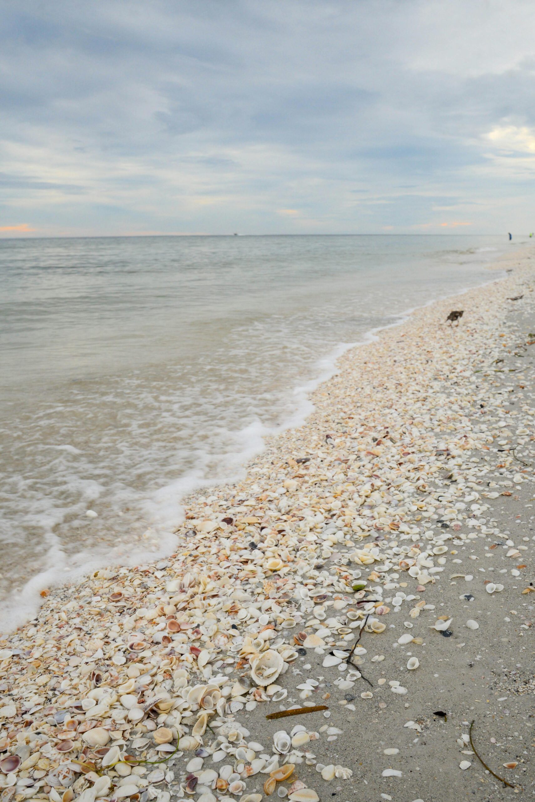 sanibel island webcam - sandalfoot condominium